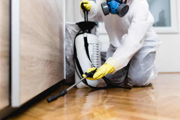 Best Ant Control Services  in Hazel Park, MI