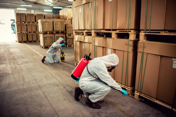 Flea Control Services in Hazel Park, MI