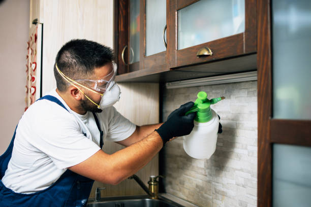 Best Affordable Pest Control Services  in Hazel Park, MI