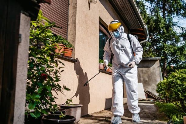 Best Cockroach Control Services  in Hazel Park, MI