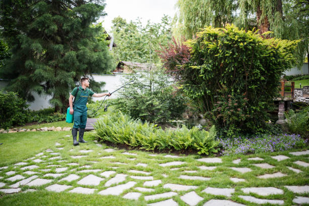 Best Pest Control for Restaurants  in Hazel Park, MI