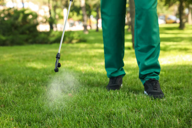 Best Exterminator Services  in Hazel Park, MI