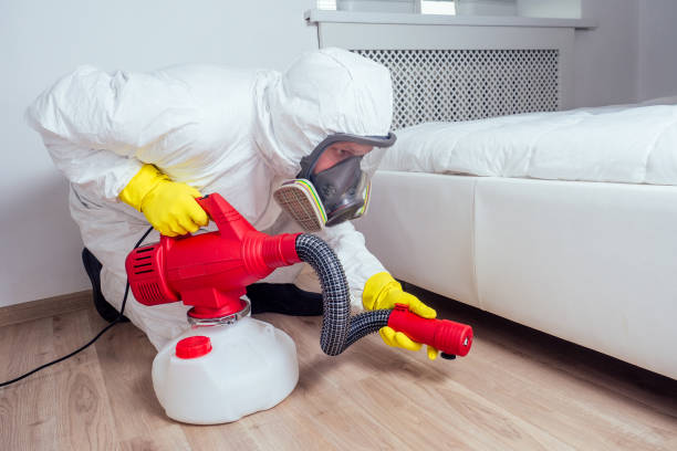 Best Flea Control Services  in Hazel Park, MI
