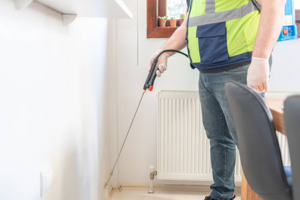 Best Mosquito Control Services  in Hazel Park, MI