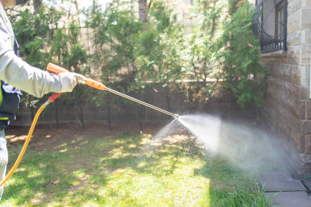 Reliable Hazel Park, MI Pest Control Solutions