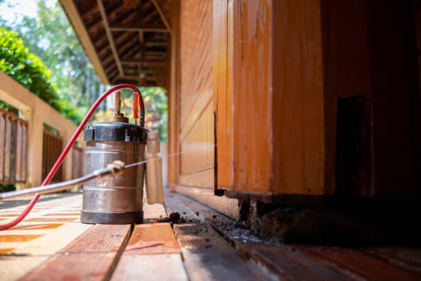 Best Pest Prevention Services  in Hazel Park, MI