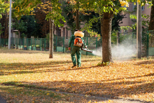 Best Bird Control  in Hazel Park, MI