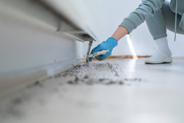 Best Pest Removal Services  in Hazel Park, MI